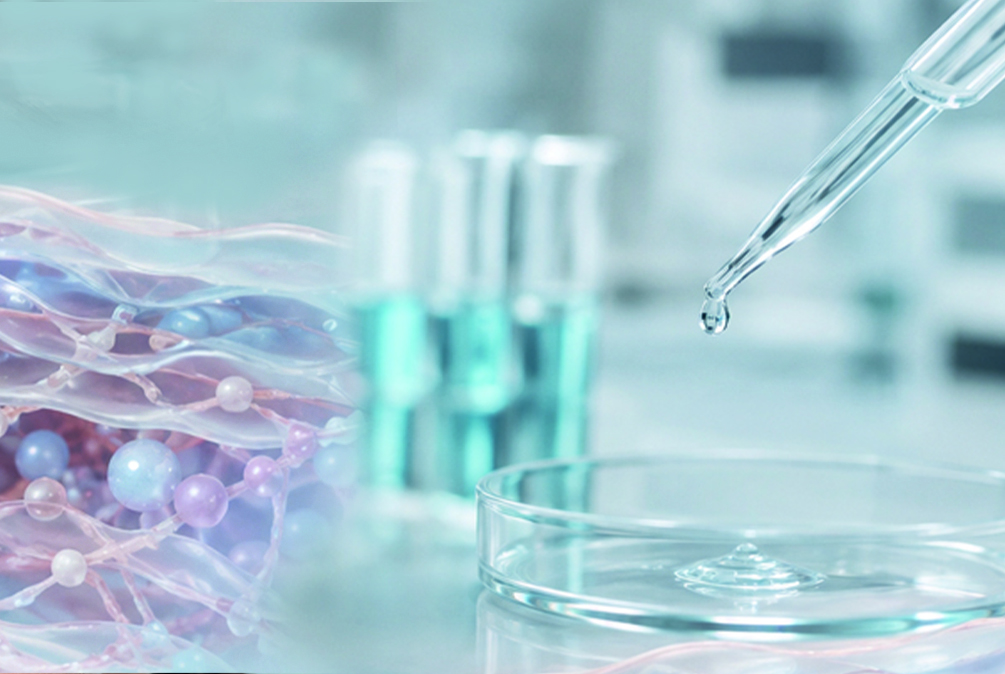 ¿Regenerar o rejuvenecer?
